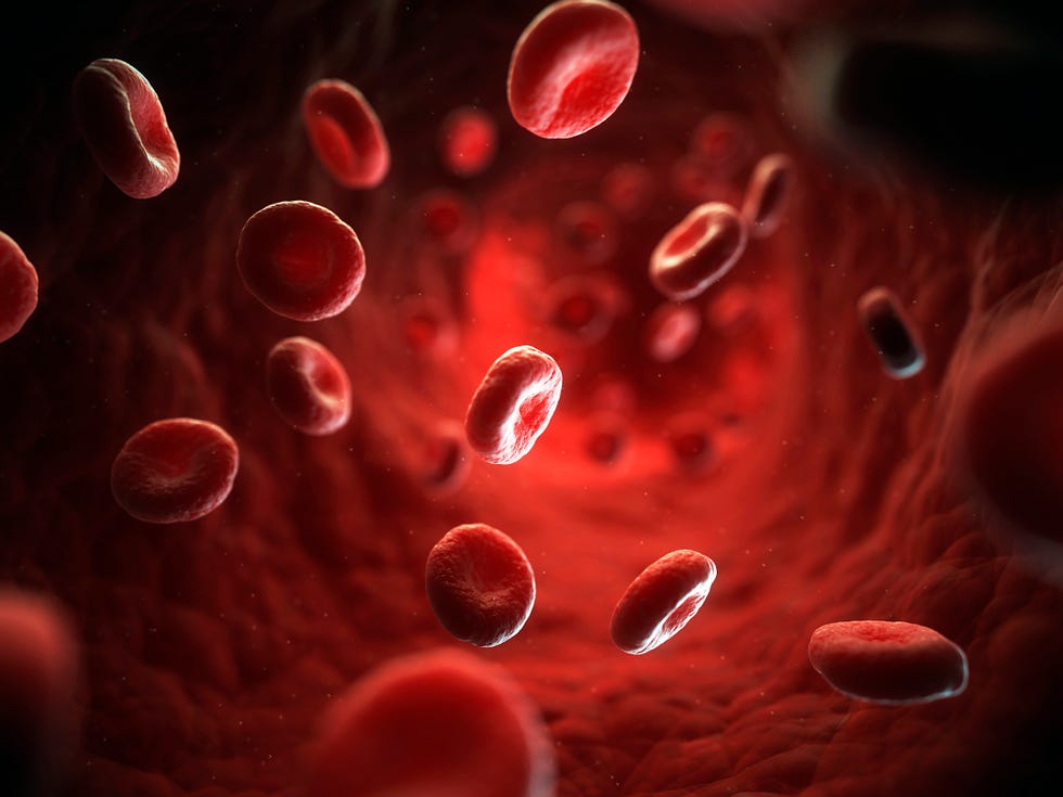 Red blood cells, artwork