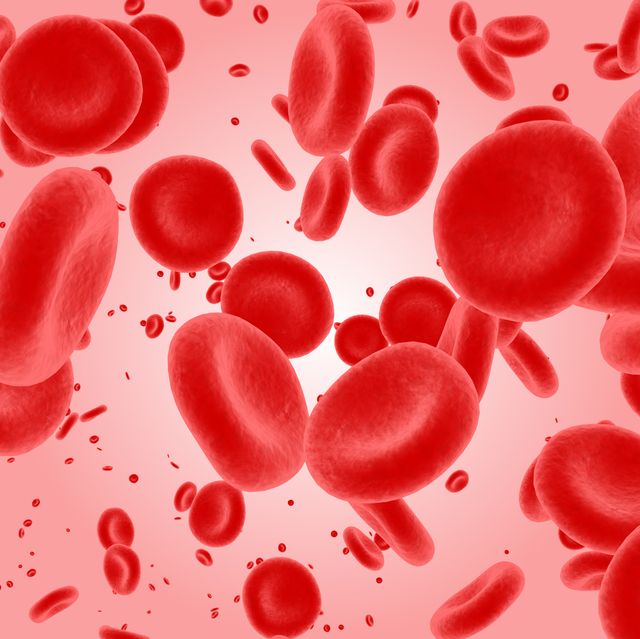 Plasma and layers red blood cells Royalty Free Vector Image