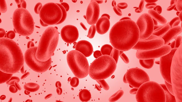 Plasma and layers red blood cells Royalty Free Vector Image