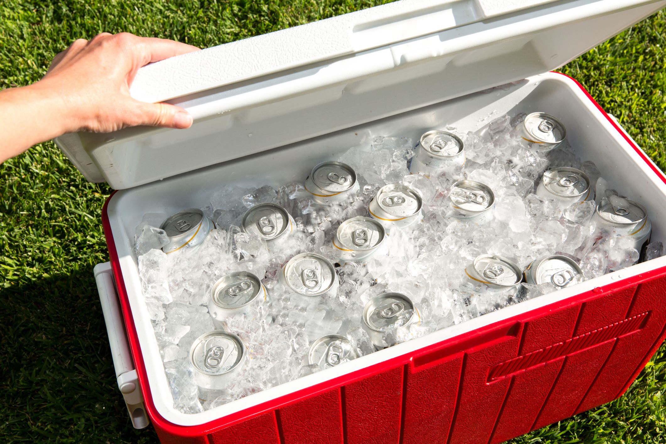 9 Qt Laguna ICE Chest Cooler Small Camping Picnic Sport Drink Outdoor  Party, Red