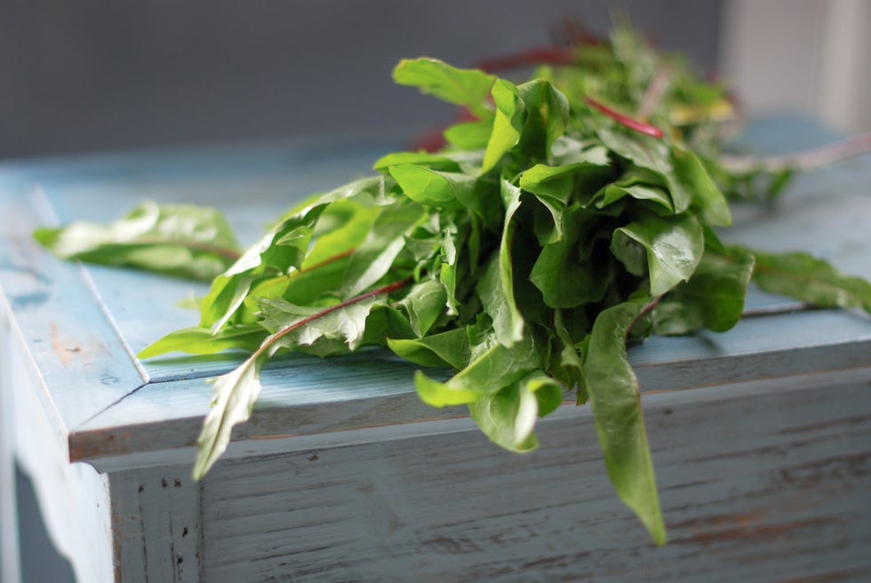 Red Dandelion Greens