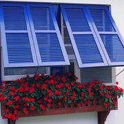 Red Impatiens in Window Box with bright blue shutters red impatiens in window box with bright blue shutters