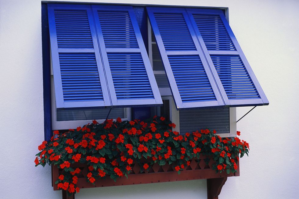 red impatiens in window box with bright blue shutters