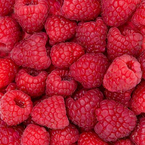 red fresh raspberry