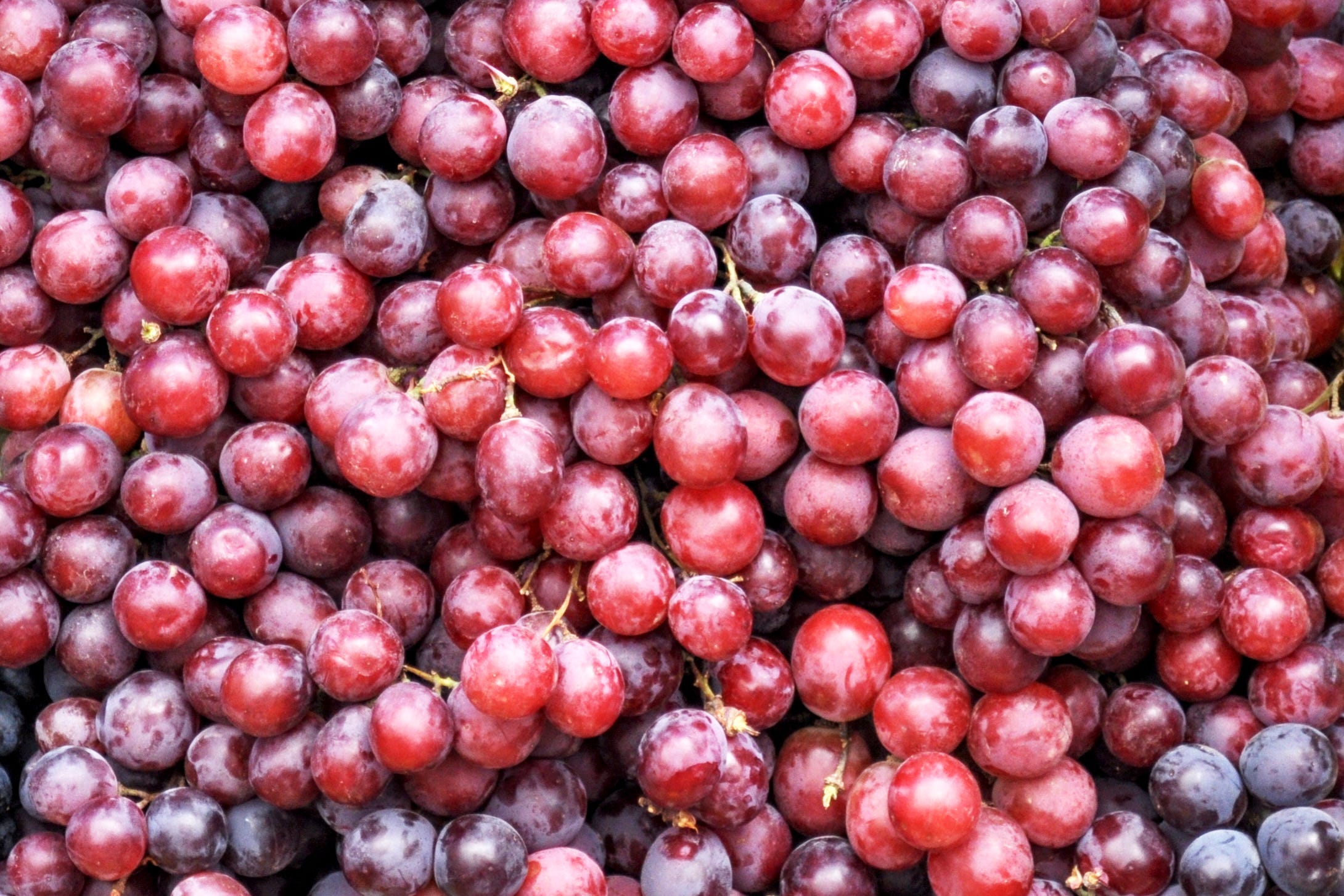 Red grapes background