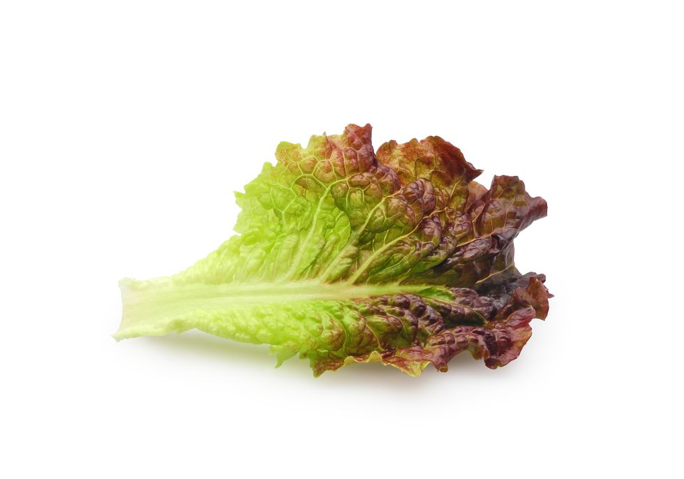red leaf lettuce isolated on white