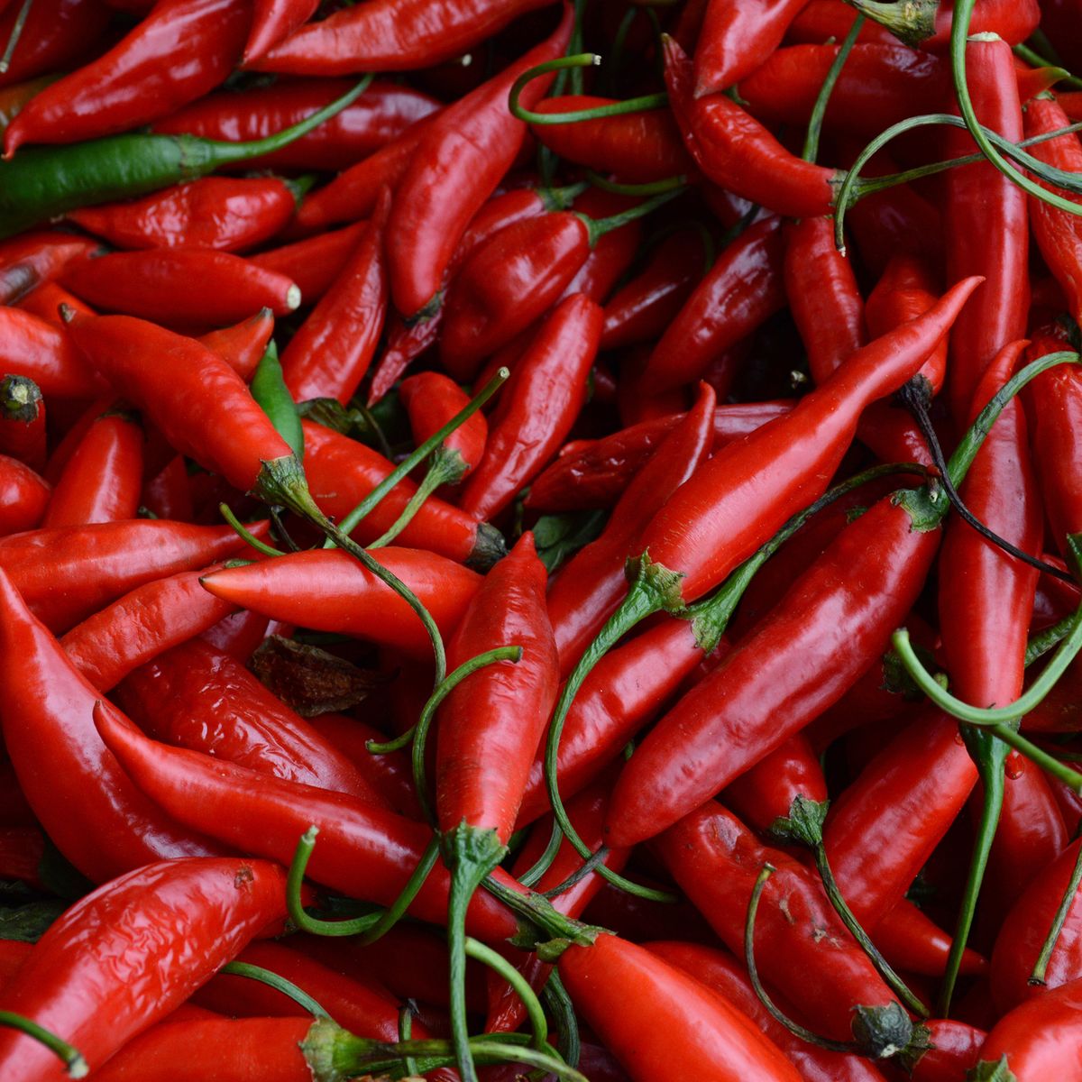 Chili Pepper Benefits  Why You Should Add Chili Pepper to Your Diet
