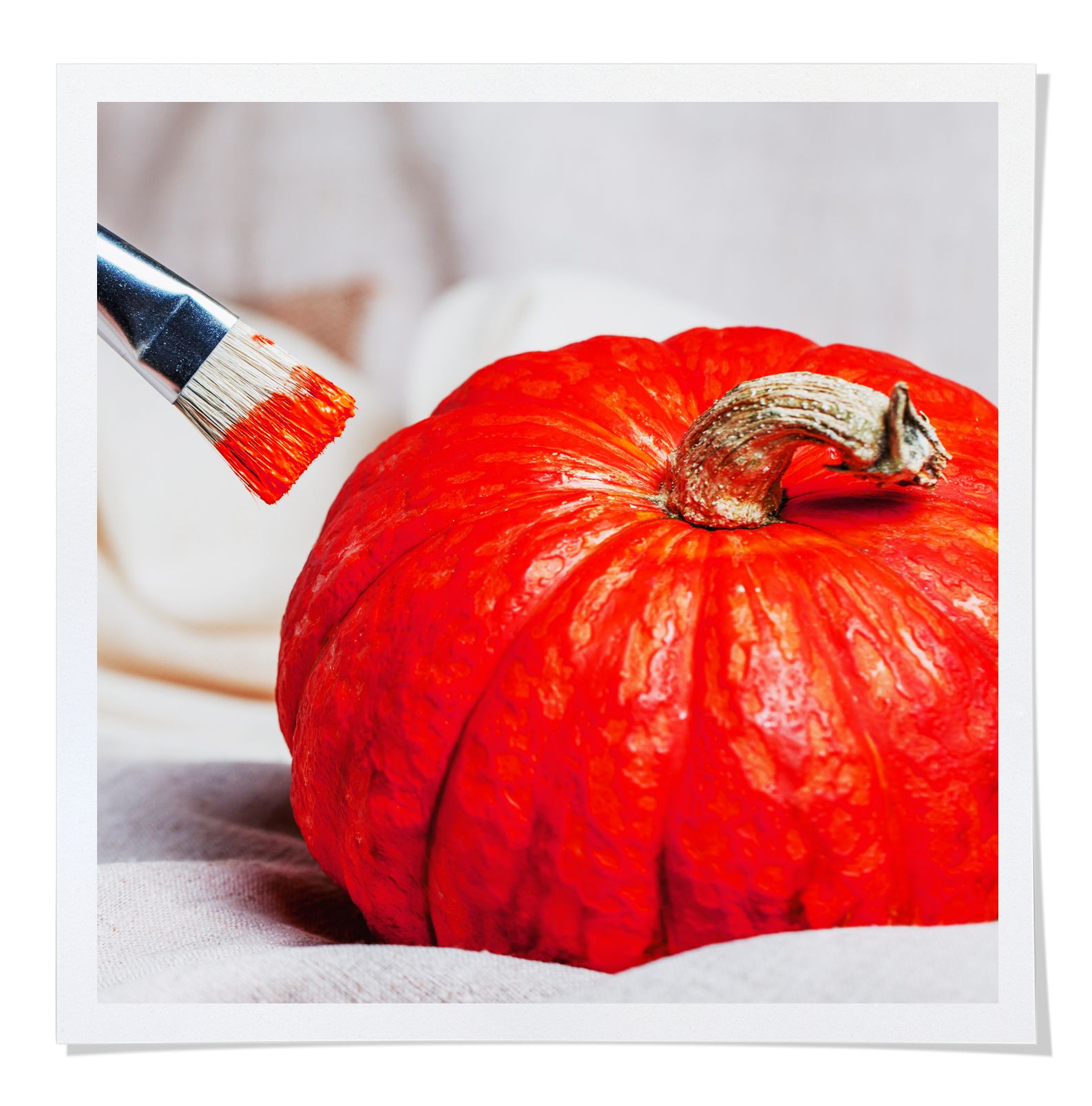 Color Pumpkins: What Do They Mean? Visual Guide to Pumpkins for