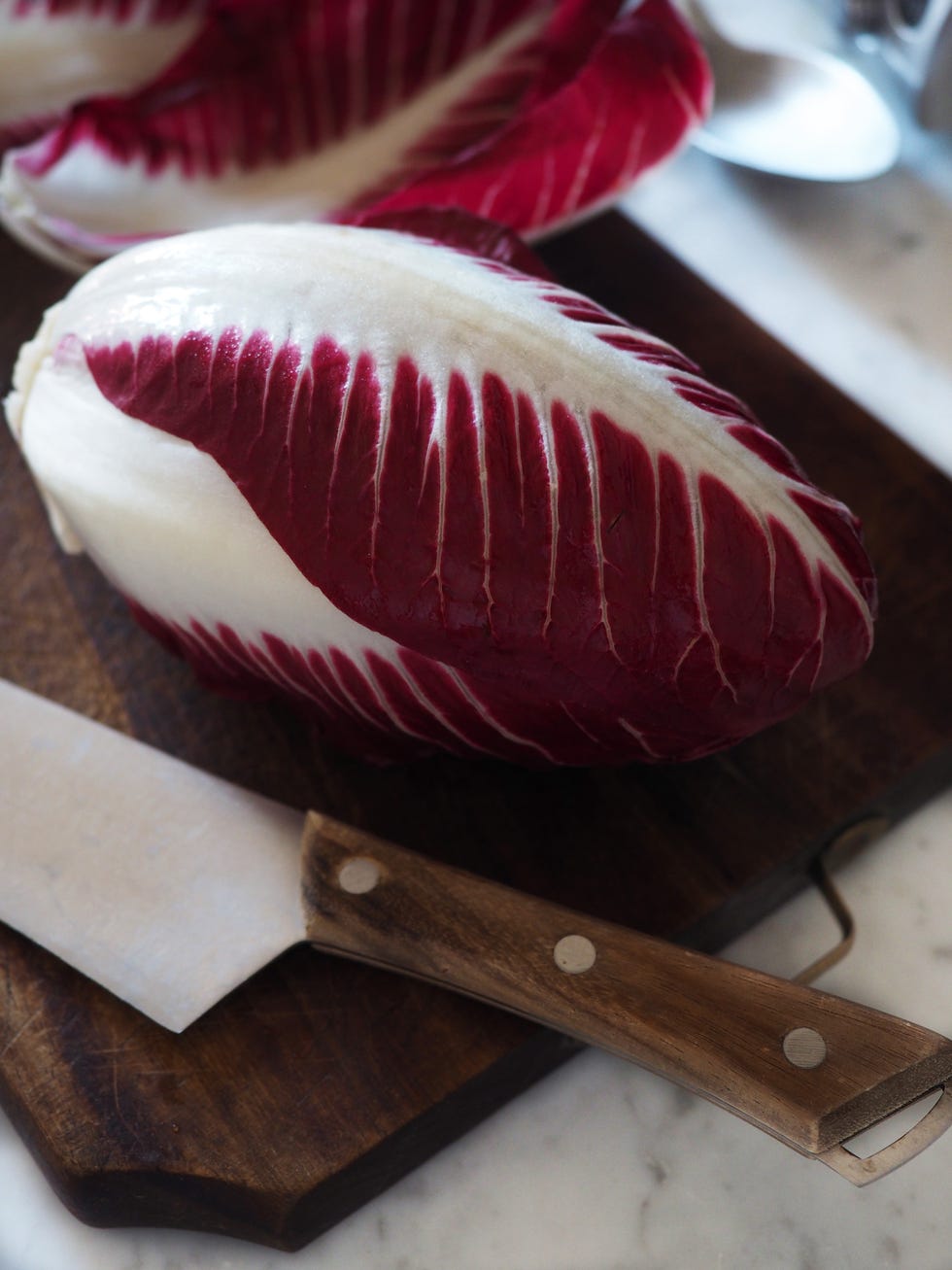 red radicchio salad from veneto italy europe