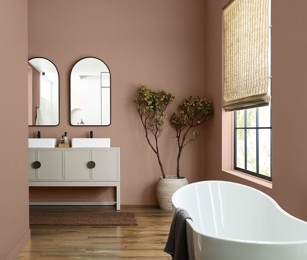 terra cotta bathroom painted in sherwin williams redend point
