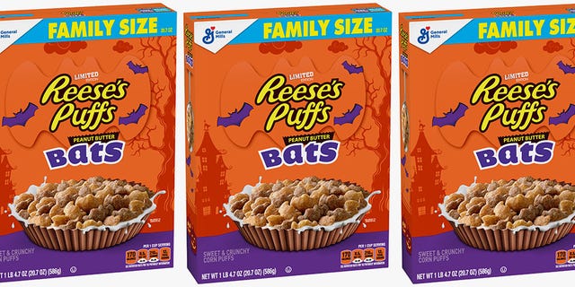 Food, Cuisine, Breakfast cereal, Dish, Ingredient, Vegetarian food, Snack, Cereal, Meal, Breakfast, 