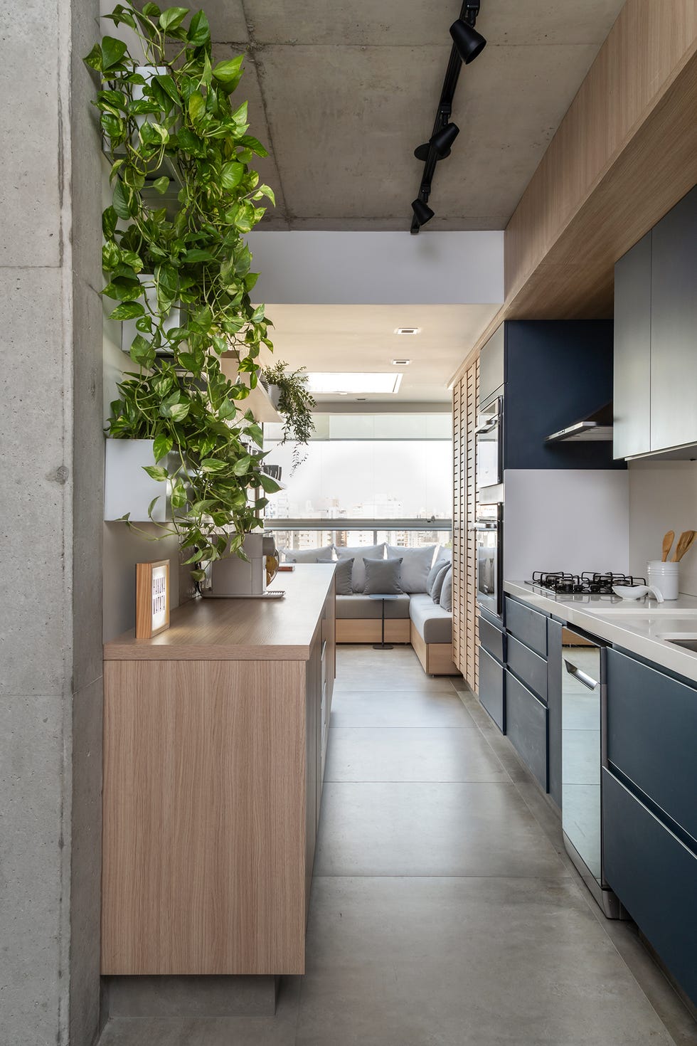 cocina abierta moderna con armarios de madera, armarios lacados en color azul, y pared decorada con plantas