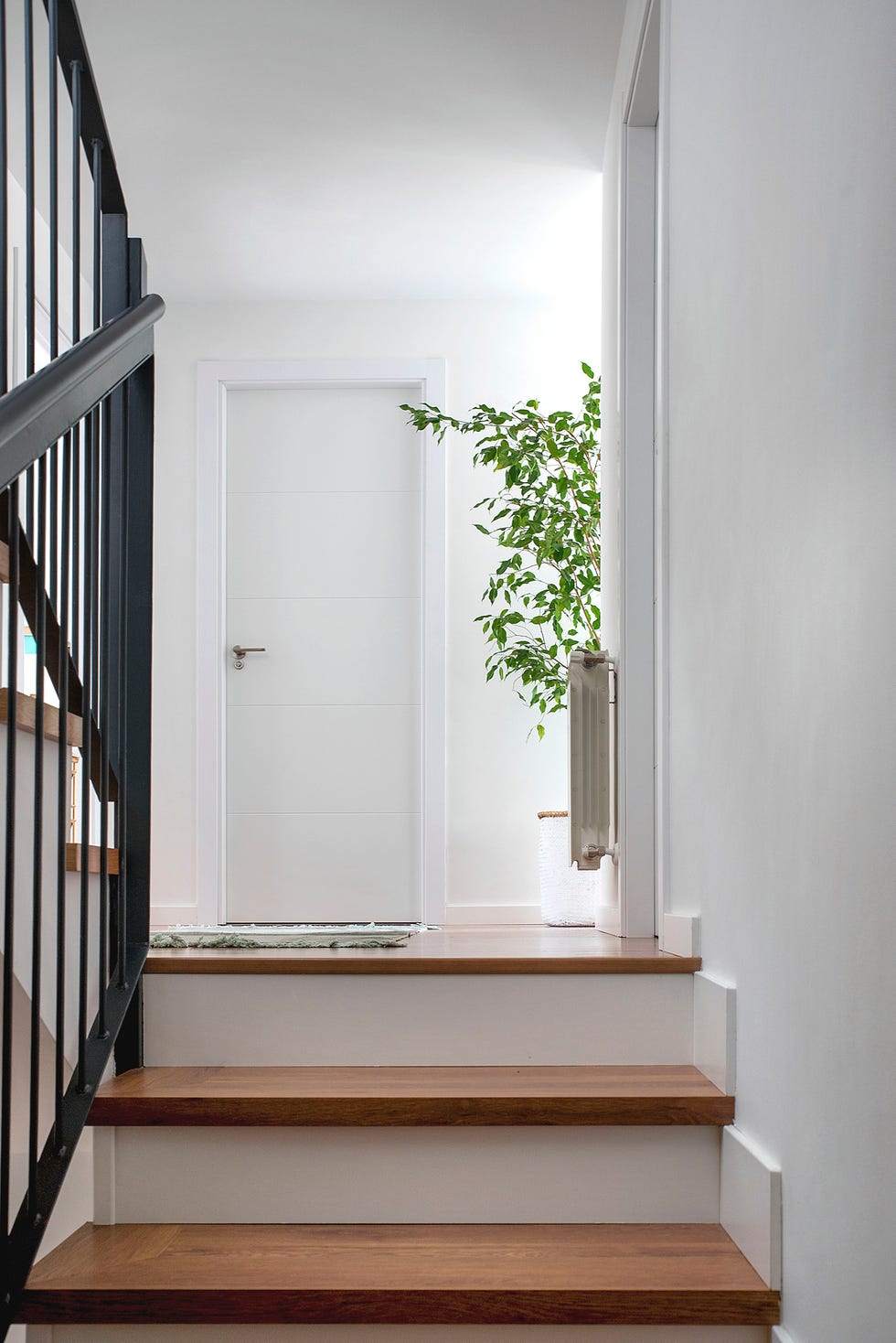 escaleras con peldaños de madera