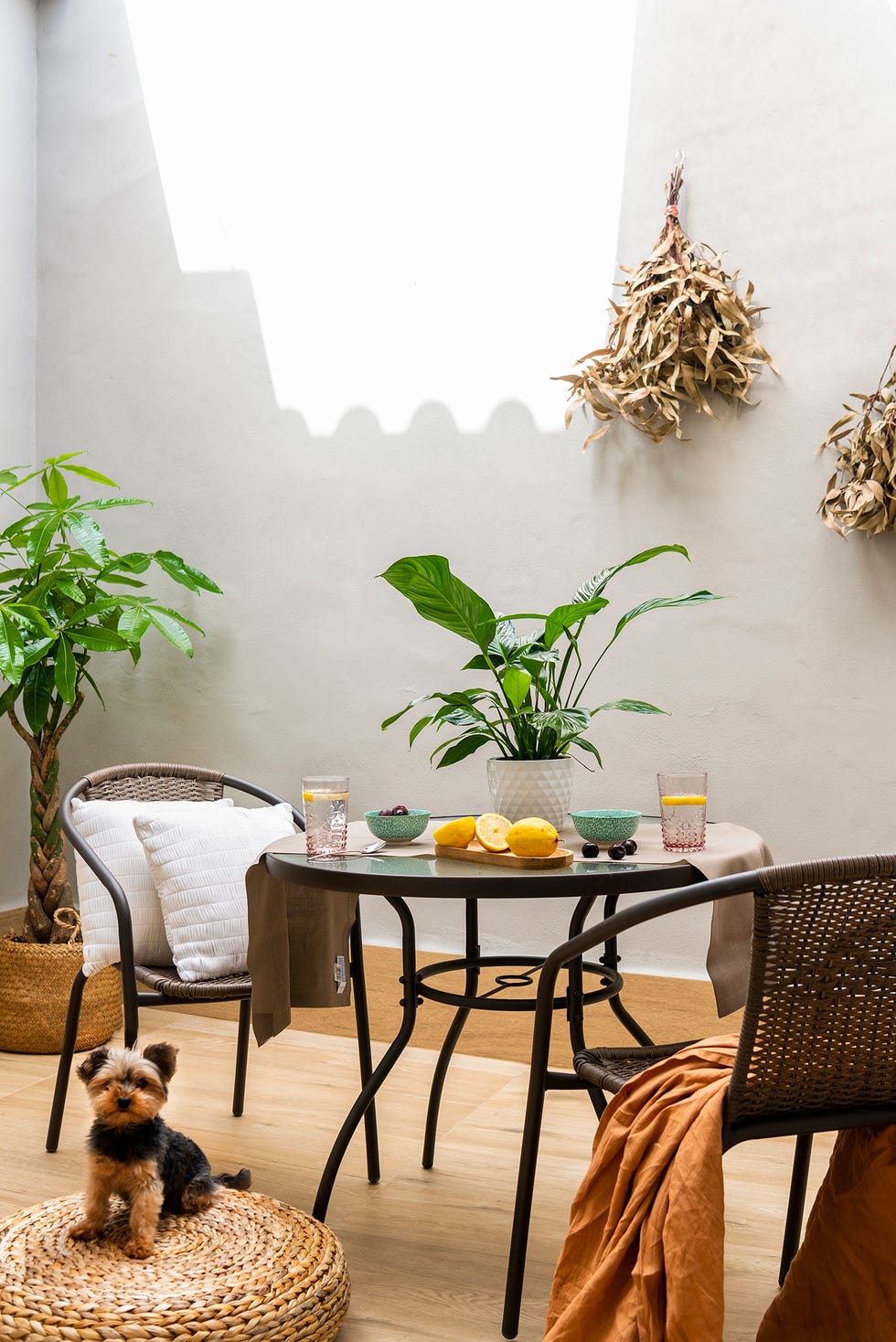 patio decorado con fibras naturales y plantas