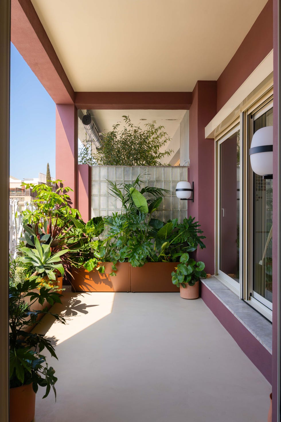 terraza con plantas y paredes burdeos