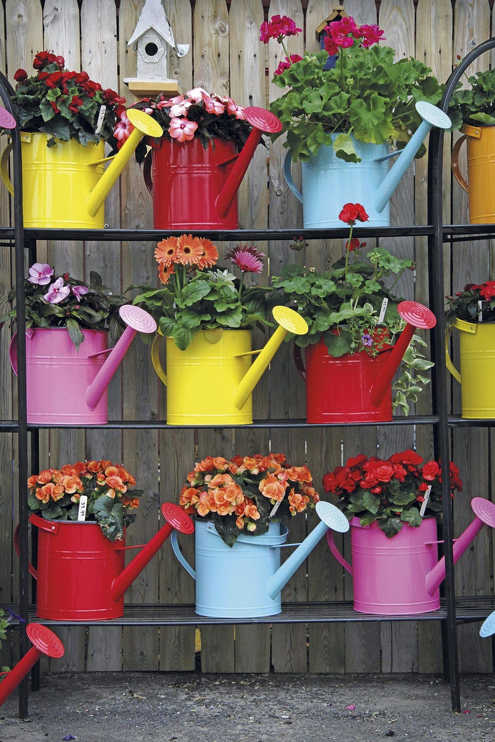 regaderas de colores con plantas