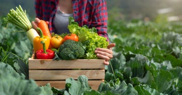 regenerative farming