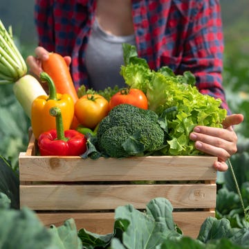 regenerative farming regenerative farming