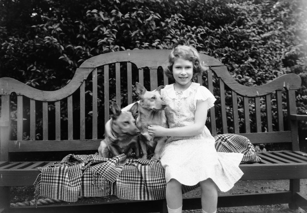 july 1936  princess elizabeth sitting on a garden seat with two corgi dogs at her home on 145 piccadilly, london  photo by lisa sheridanstudio lisagetty images