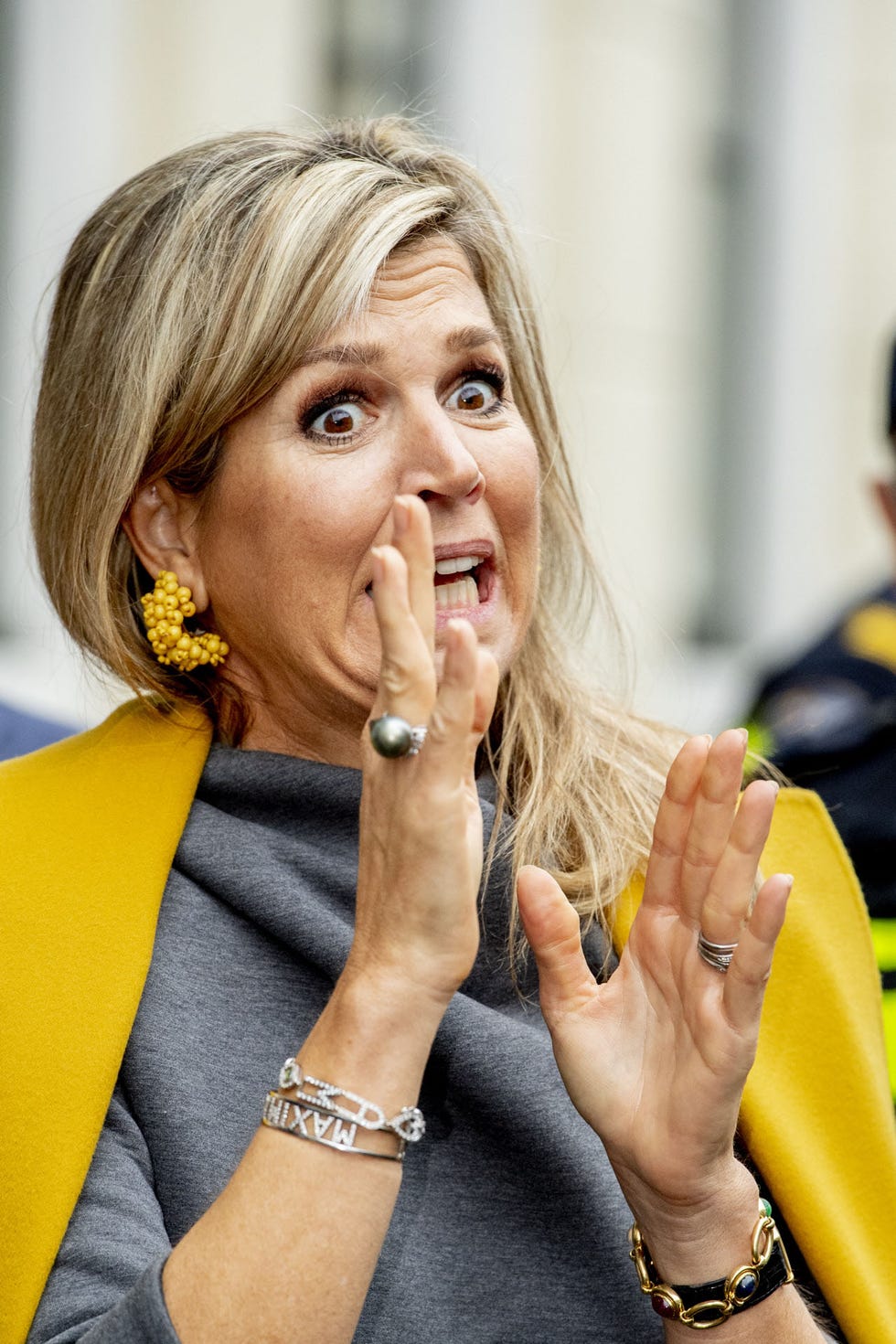 Máxima de Holanda
