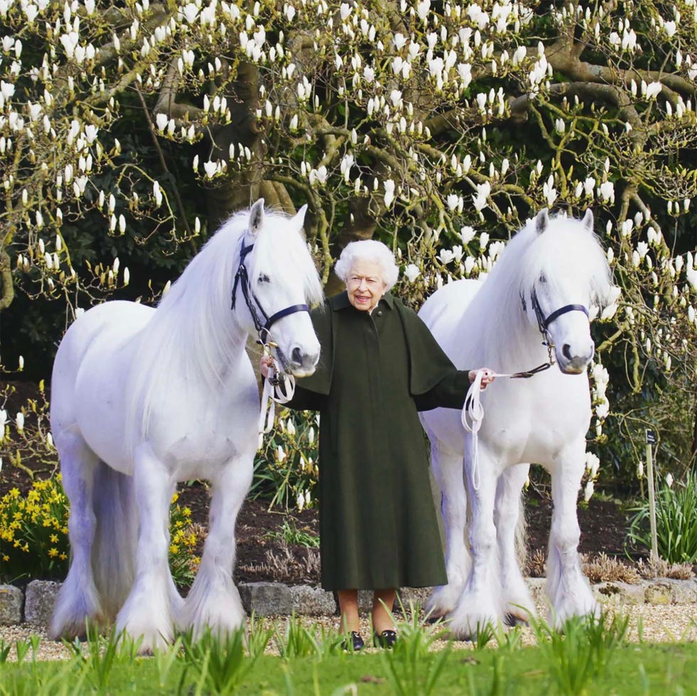 reina isabel ii
