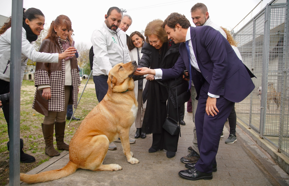 La Reina Sofía visita un centro municipal de protección animal y se derrite  del amor