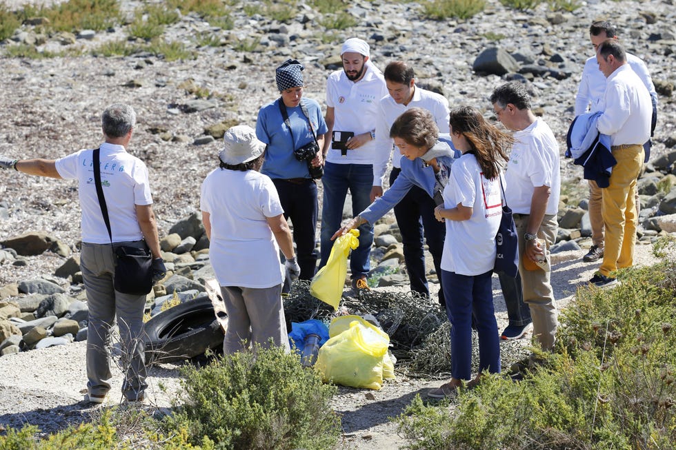 Community, Geology, Soil, Adaptation, Plant community, Geological phenomenon, Plant, 