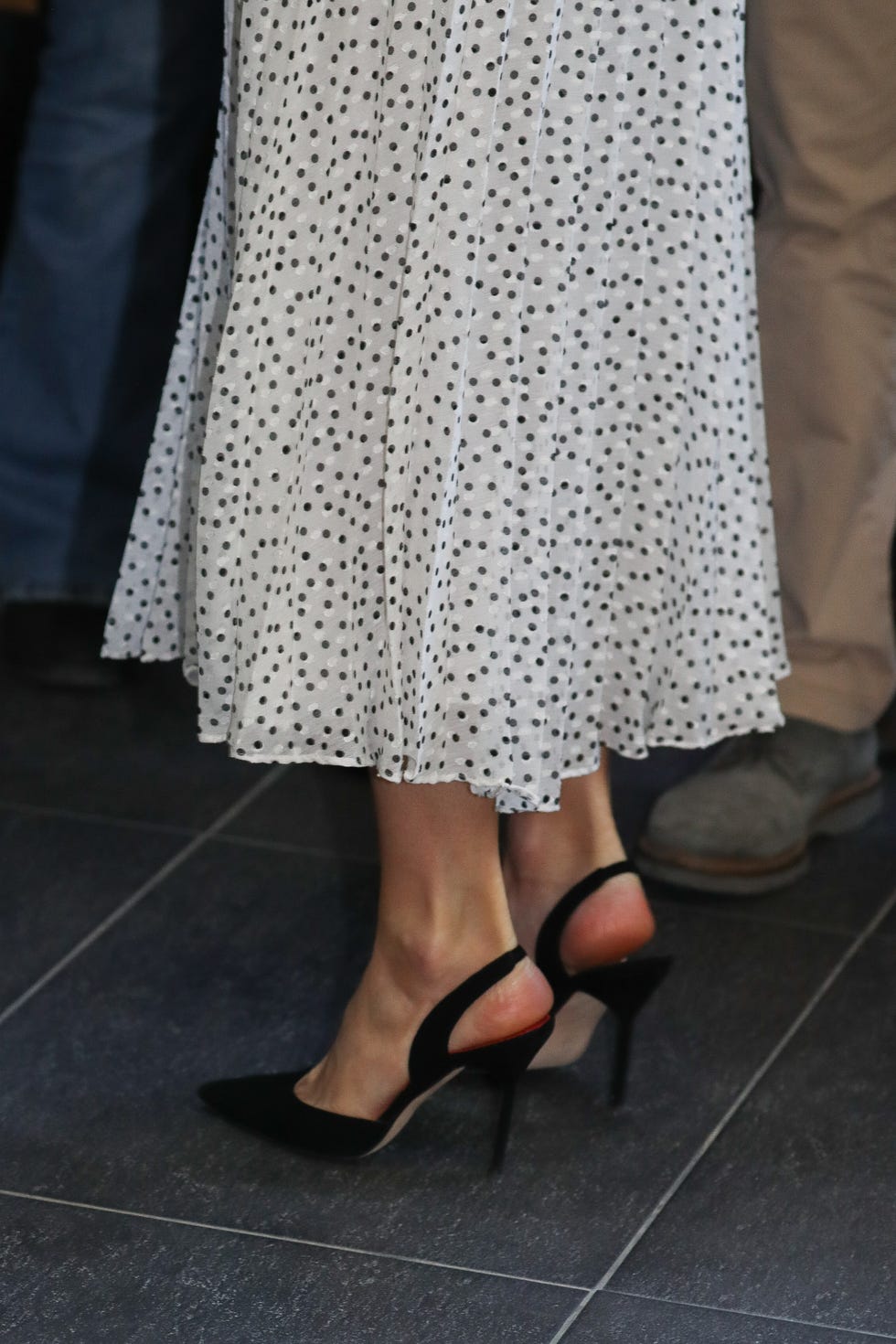 Zapatos de la Reina Letizia en el aniversario del Parque Doñana