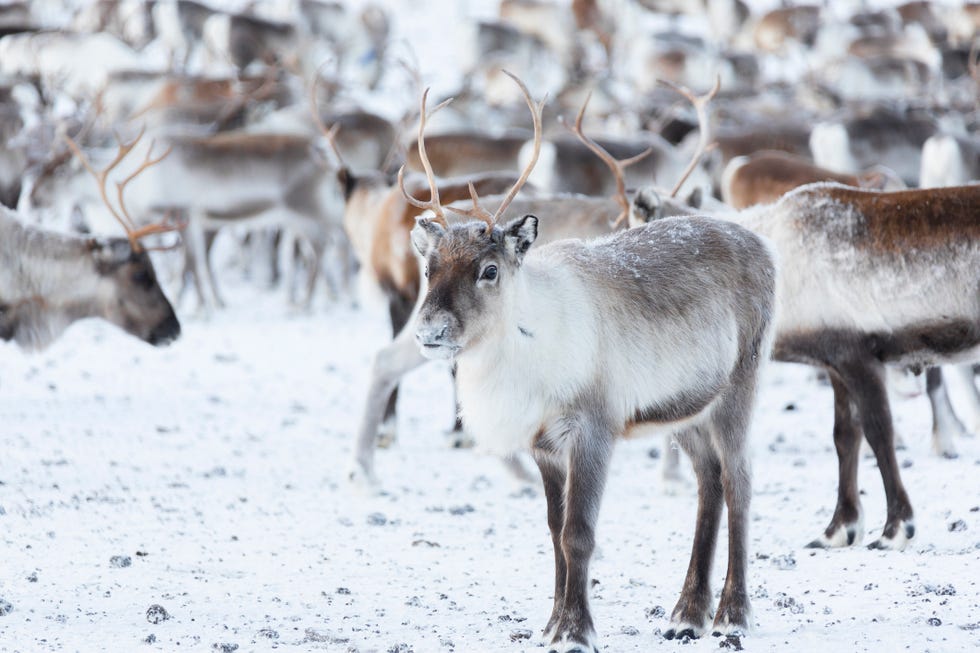 Christmas holiday destinations