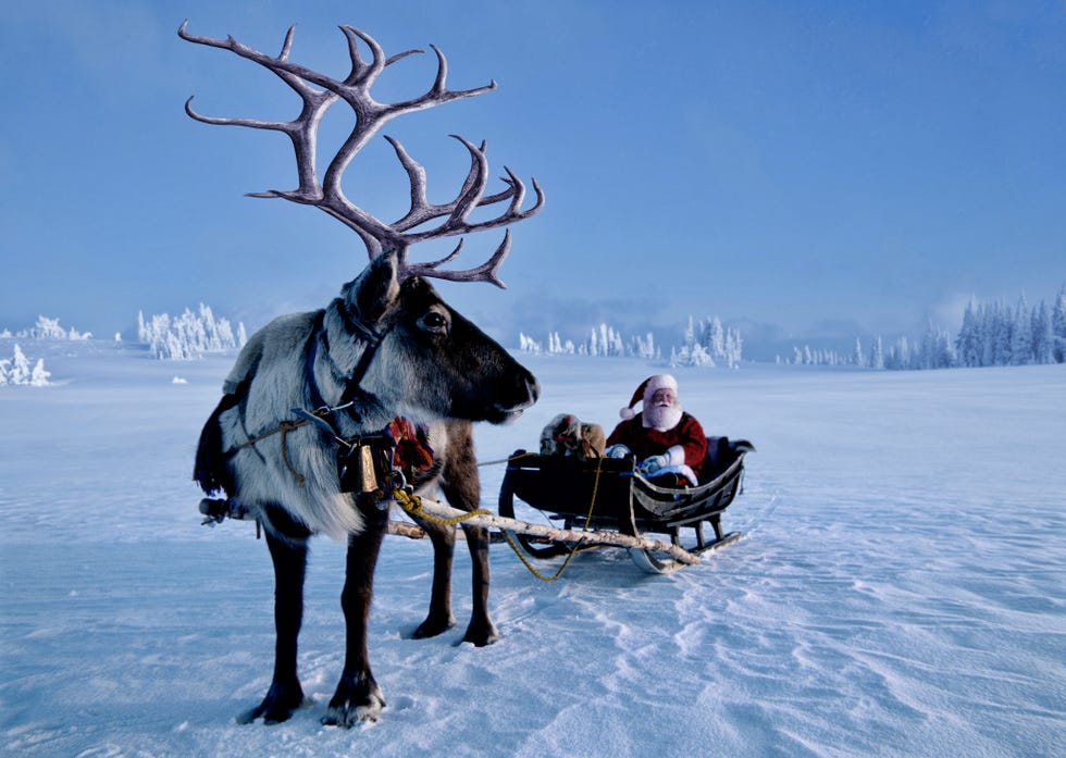 28 Funny Reindeer Jokes — Best Christmas Reindeer Jokes and Puns