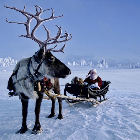 reindeer jokes santa