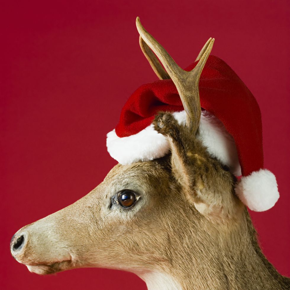 a reindeer wearing a santa hat