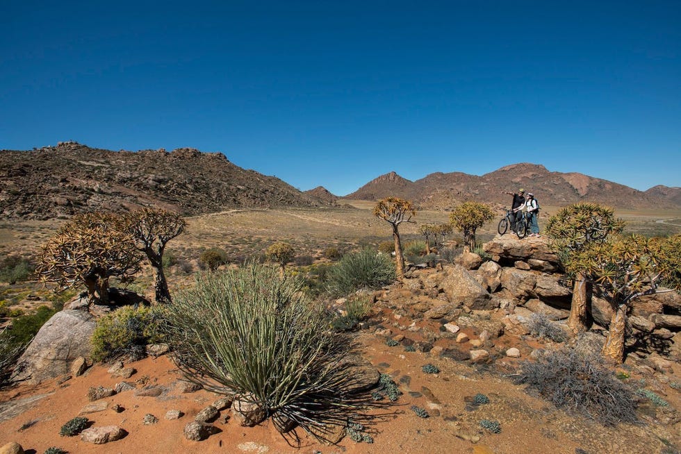 Er zijn prachtige fietstochten te maken door het natuurreservaat Goegap vlak bij Springbok