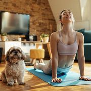 relaxed woman with dog practicing yoga in cobra pose at home