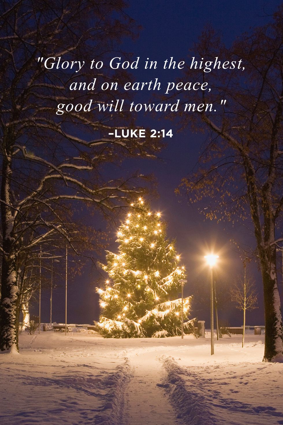 Religious Christmas Quotes Luke