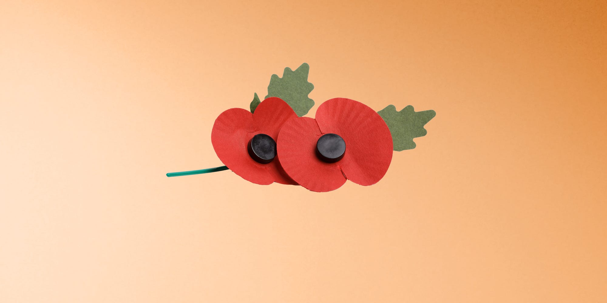 Plant poppies for remembrance