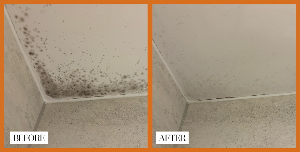 remove bathroom mould
