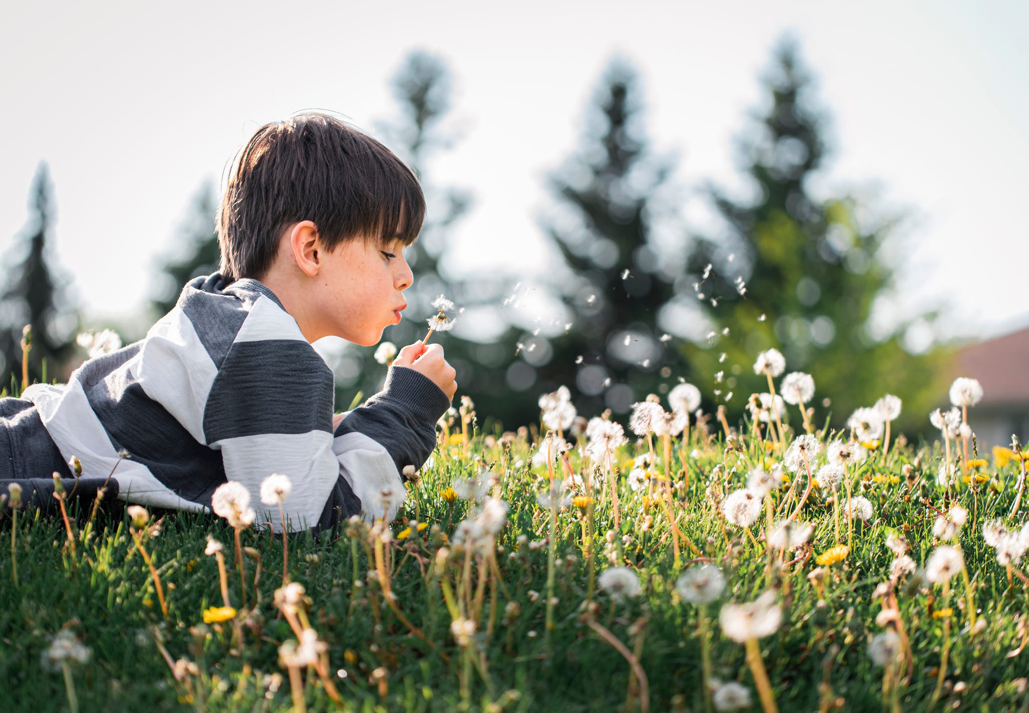 remove grass stains