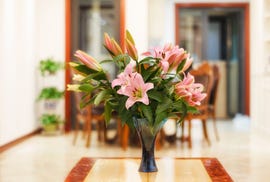 remove pollen stains
