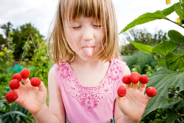 remove raspberry stains