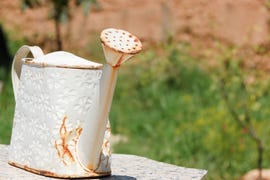remove rust and iron mould stains