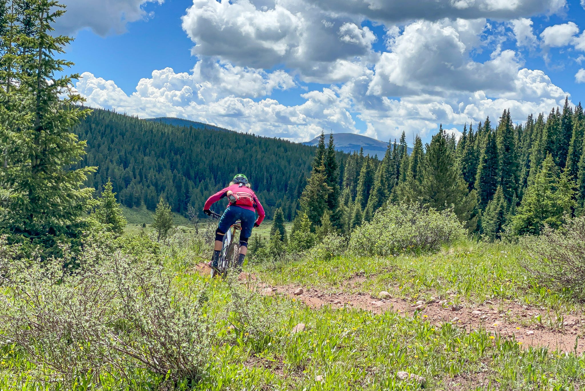 crested butte colorado