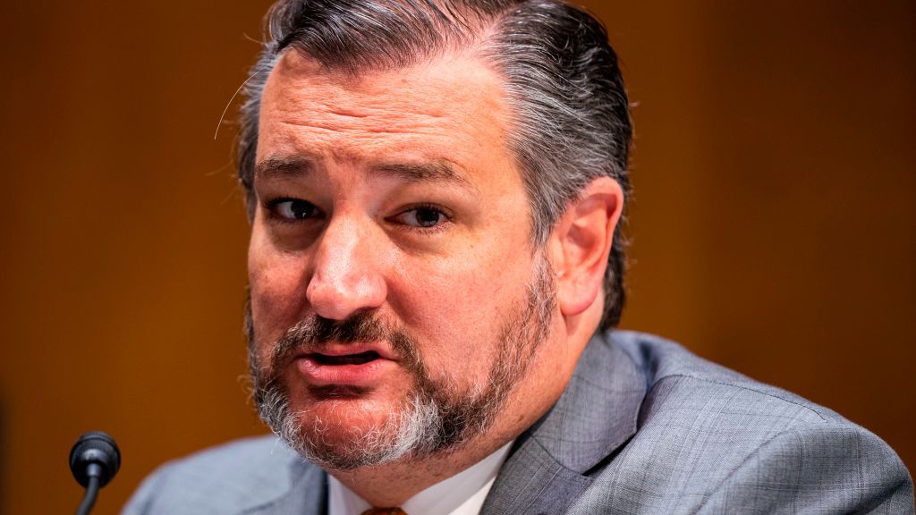 Ted Cruz lays into NYT science reporter who tweeted that Wuhan lab leak  theory has 'racist roots
