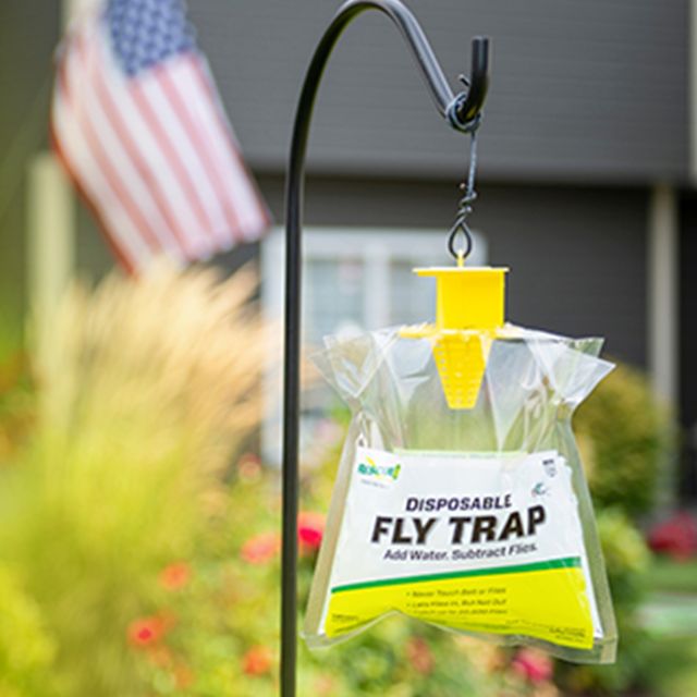 Outdoor Disposable Fly Trap