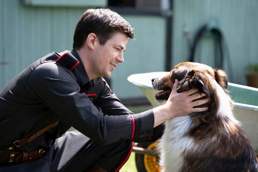 grant gustin as daniel, rescued by ruby