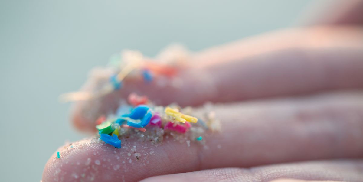 Up to a ‘Spoonful’ of Microplastics May Be Lurking in Your Brain
