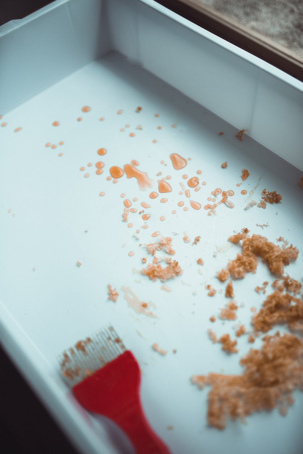 honey extraction residual wax inside a box