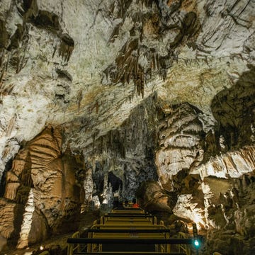 Postojna Cave De grotten van Postojna zijn een van de grootste toeristische attracties van Sloveni Er leven salamanders olmen genaamd waarvan de plaatselijke bevolking ooit geloofde dat het babydraken waren