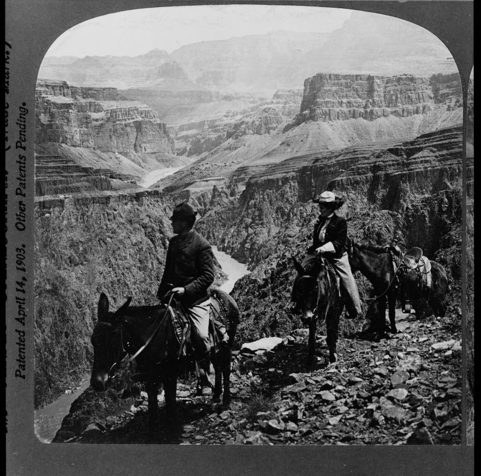 Muilezels vergemakkelijken de tocht over een hoog wandelpad in de Grand Canyon Ook tegenwoordig nog zijn ritjes op ezels populair in het park
