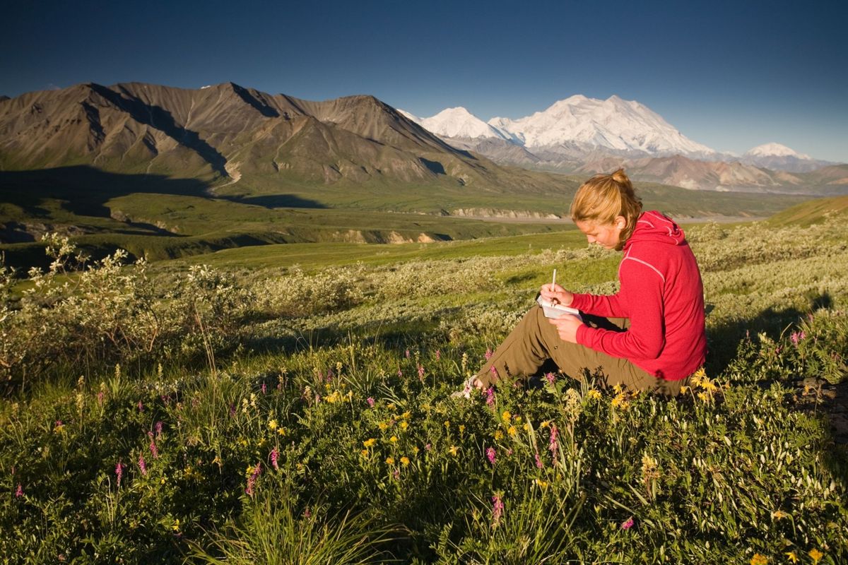 De meest efficinte manier om een bepaalde reisherinnering vast te leggen is door er meteen daarna of op het moment zelf wat over te schrijven Houd je reisdagboek bij voor een lezersgroep van n jezelf  zoals ook de vrouw op de foto doet in het Denali National Park in Alaska